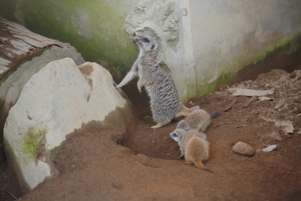 外が気になるよねえ。