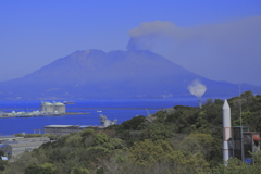 錦江湾公園からの風景