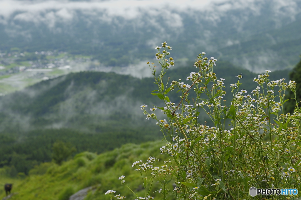 阿蘇の風景