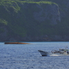 漁船と沈没船