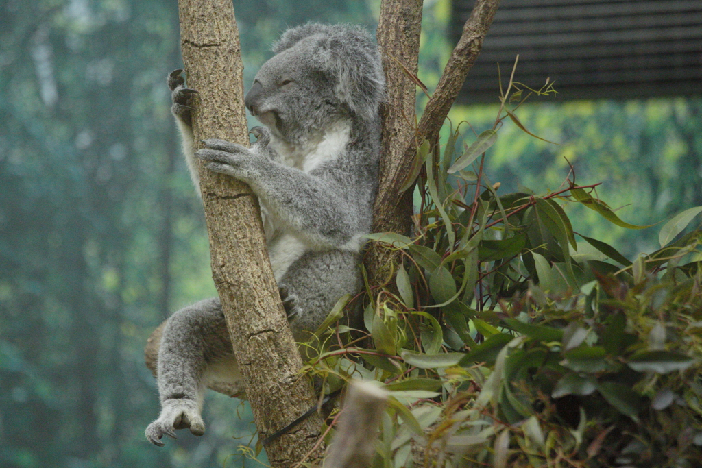 なんか妄想中？