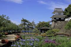 旅客機と海と城跡そして花菖蒲