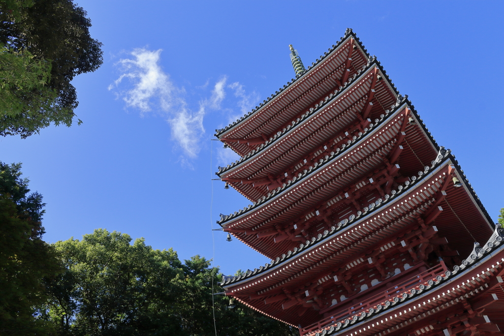 竹林寺にて