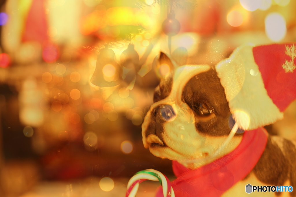 イルミネーション