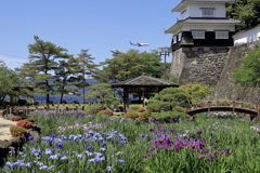 旅客機と海と城跡そして花菖蒲