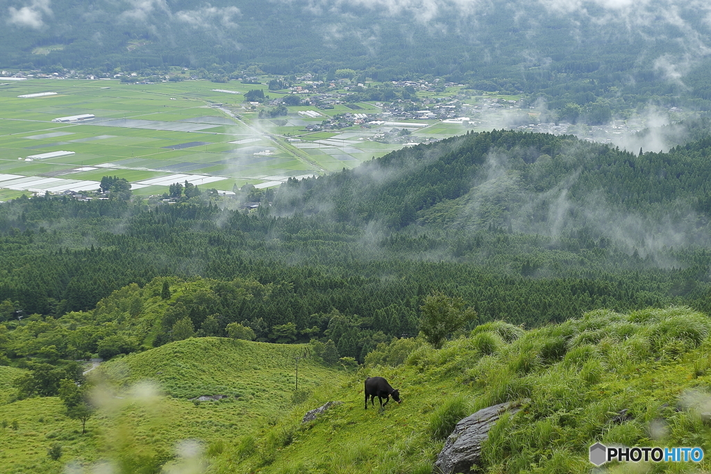 阿蘇の風景