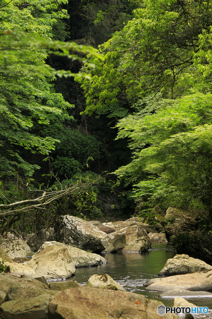 涼しさを求めて渓谷へ