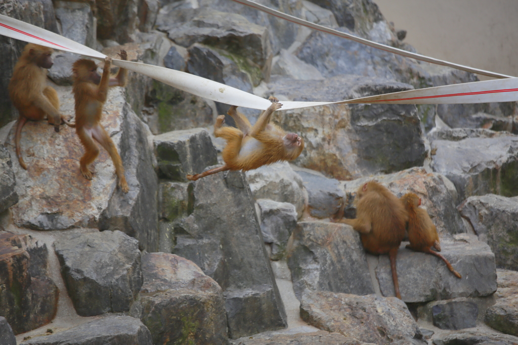 順番に消火ホースで遊ぶあたり、すごい