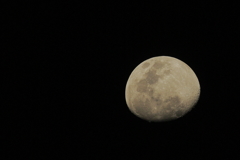 400mm単焦点で手持ち撮影