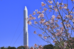 錦江湾公園からの風景