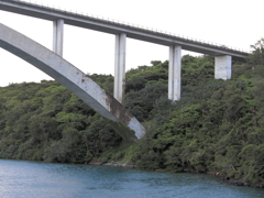 運天