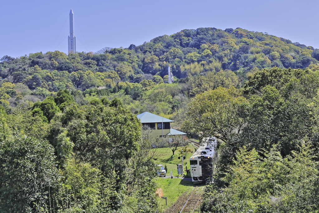 錦江湾公園からの風景