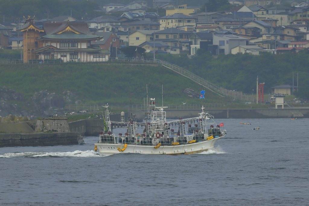 帰港