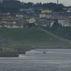 八戸港からの風景