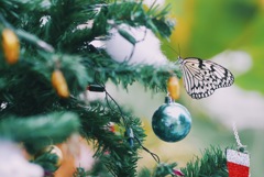 xmas
