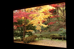 窓の外の秋