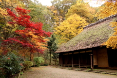 古民家の秋