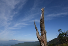 富士山　丹沢
