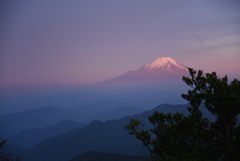 朝焼けの富士　丹沢