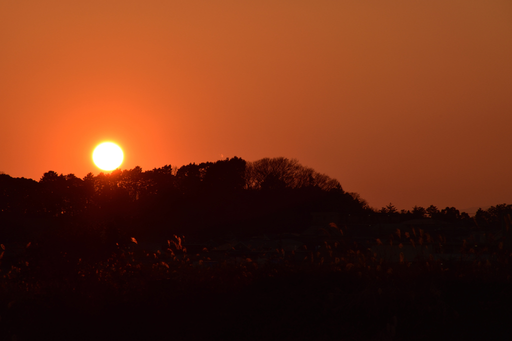 夕日