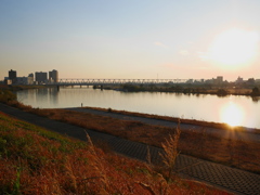 江戸川沿いを歩く。