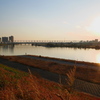 江戸川沿いを歩く。