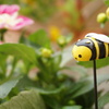 鉢植えの蜂