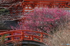 春近し