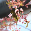 人目もはばからず