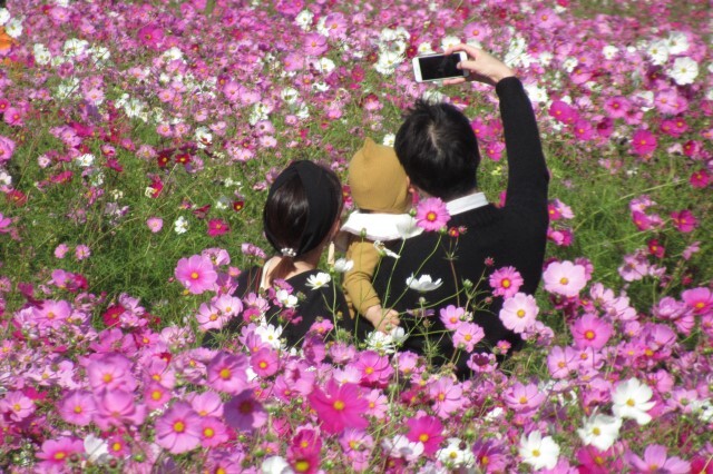 秋ほのぼの