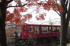 紅葉列車