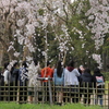 記念写真