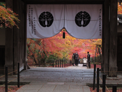 見納め