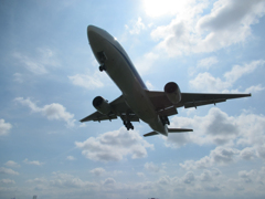 空見上げて