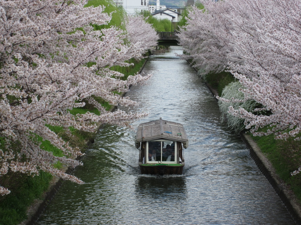 来たぞ来たぞ！