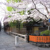 祇園白川の朝