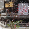 雪舞う北野天満宮