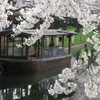 十石舟の春