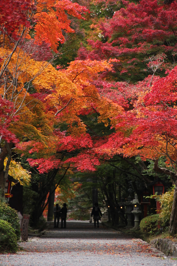 大原野神社