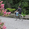 自転車のおじさん