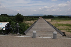 夏の流れ橋