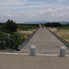 夏の流れ橋