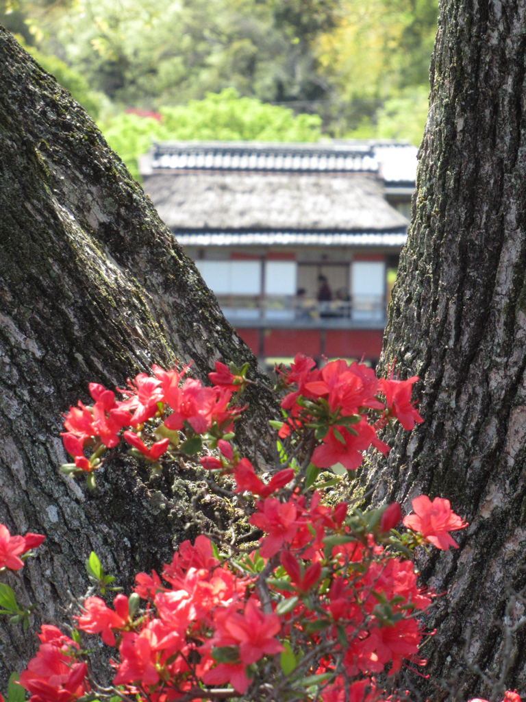 池の向こうの接客
