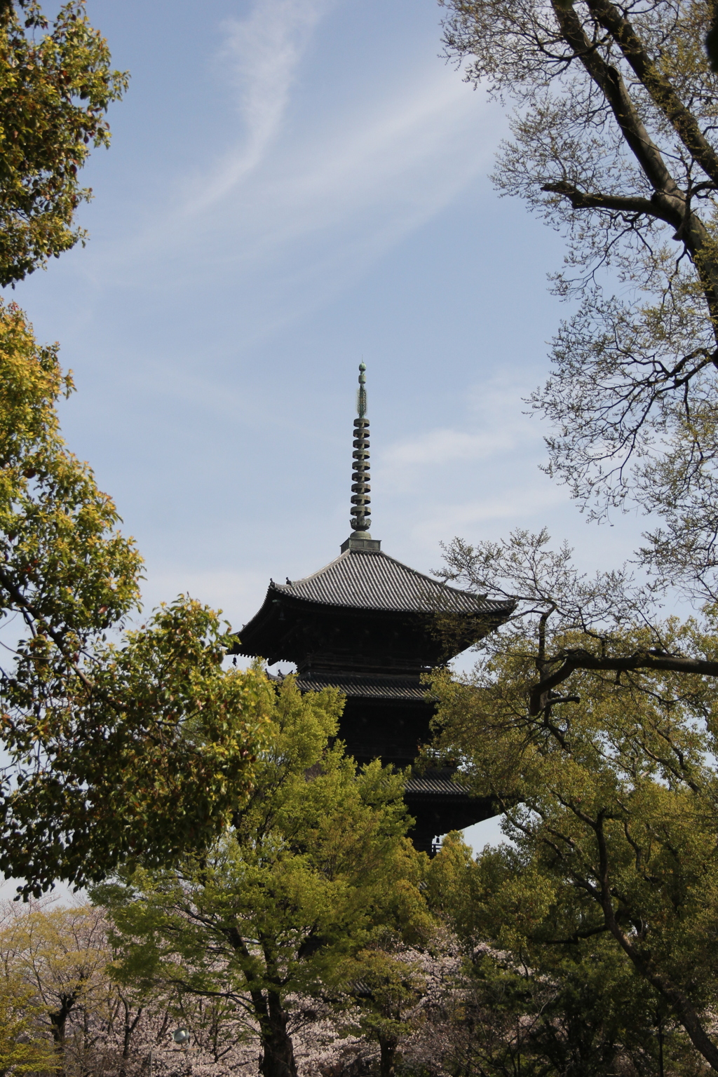 樹木の中の五重塔