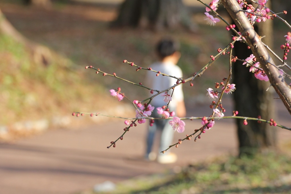 花より団子？