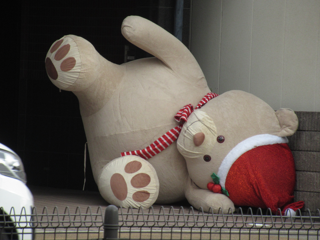 僕をひかないでね