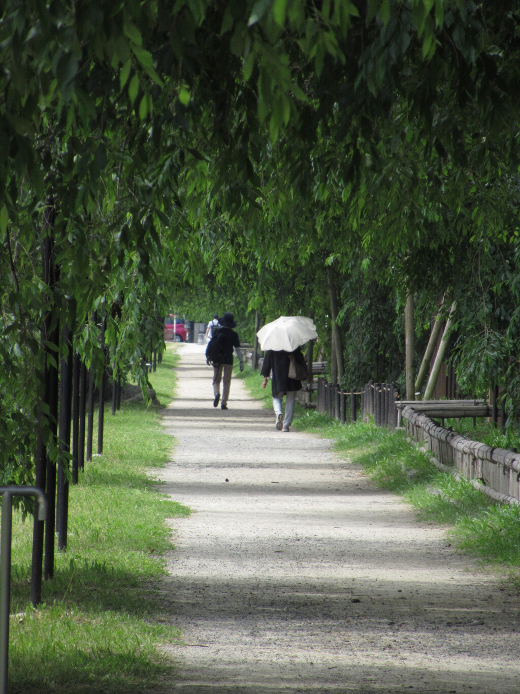 道