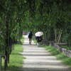 道