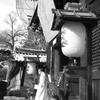１月の終わりに