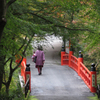 道